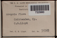 Image Associated With the Occurence